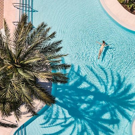Don Carlos 马尔韦利亚 外观 照片 Aerial view of the pool at the Atlantis Paradise Island